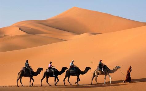 A Camel ride in the Sahara